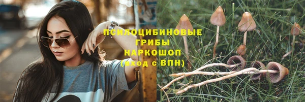 СК Куйбышев
